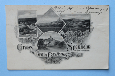 Ansichtskarte AK Gruß aus Sponheim 1909 Villa Forsthaus Straßen Hotel Gasthaus Architektur Ortsansicht Rheinland Pfalz
